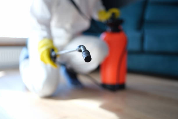 Best Real Estate Mold Inspection  in Myrtle Point, OR