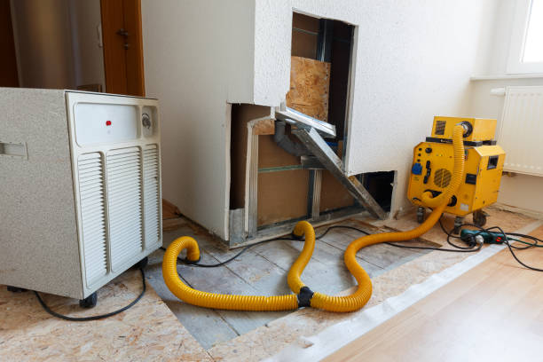 Professional Mold Removal in Myrtle Point, OR